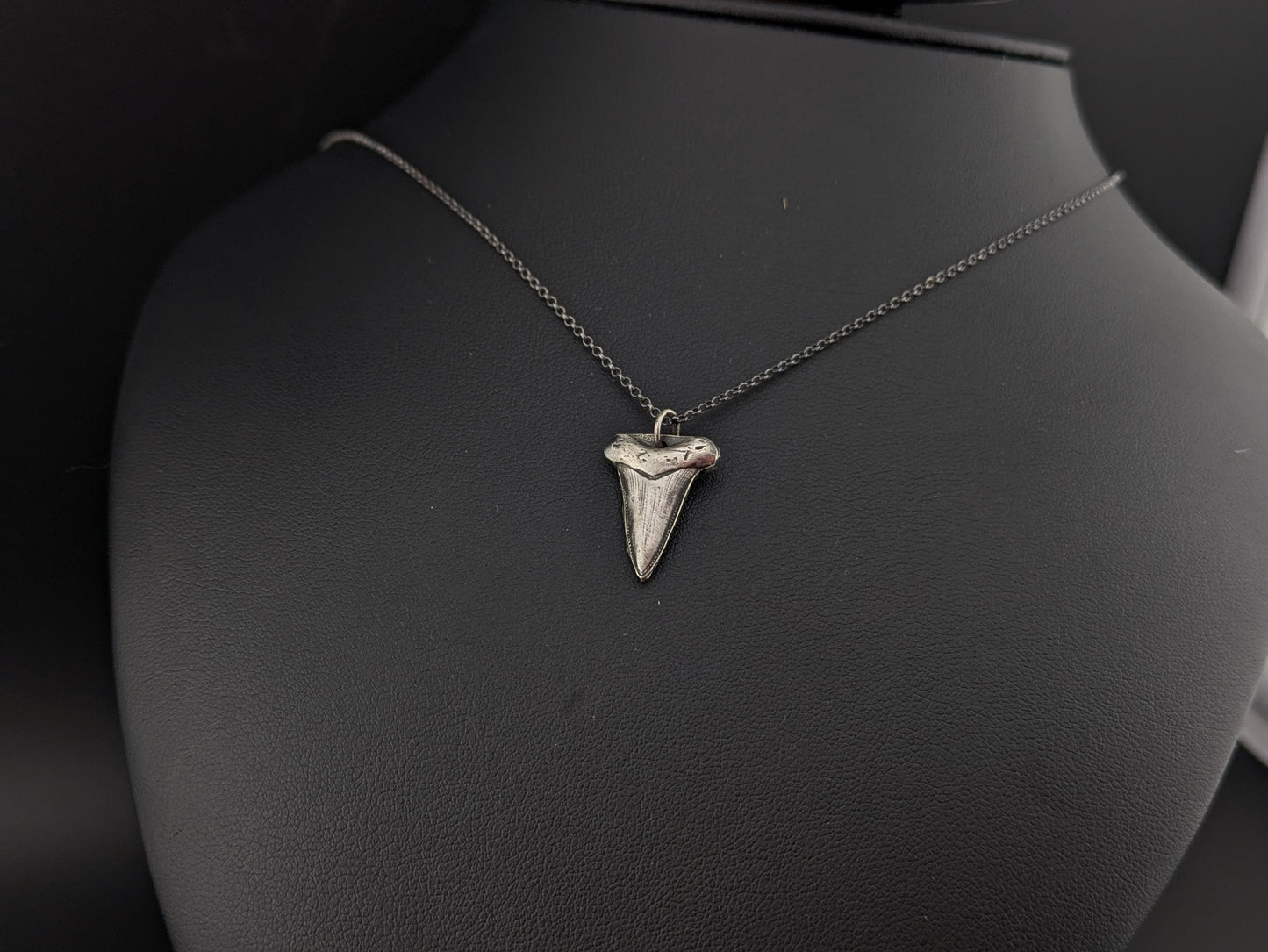 Sterling Silver Shark Tooth Pendant