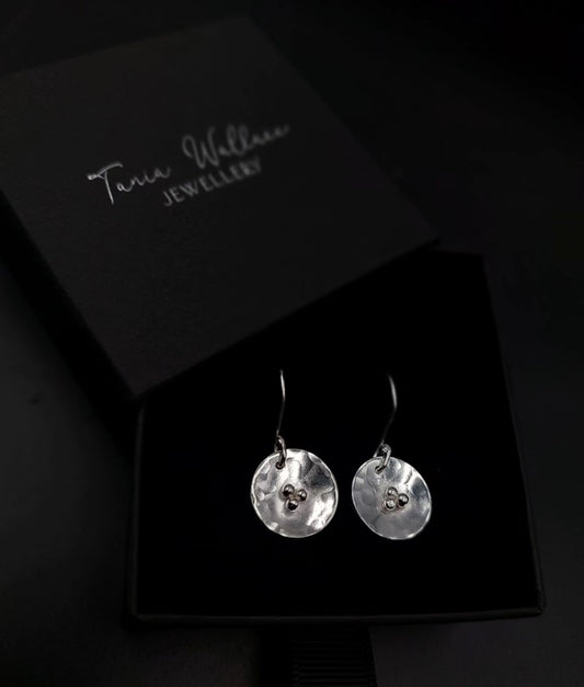 Classy Domed Silver Discs
