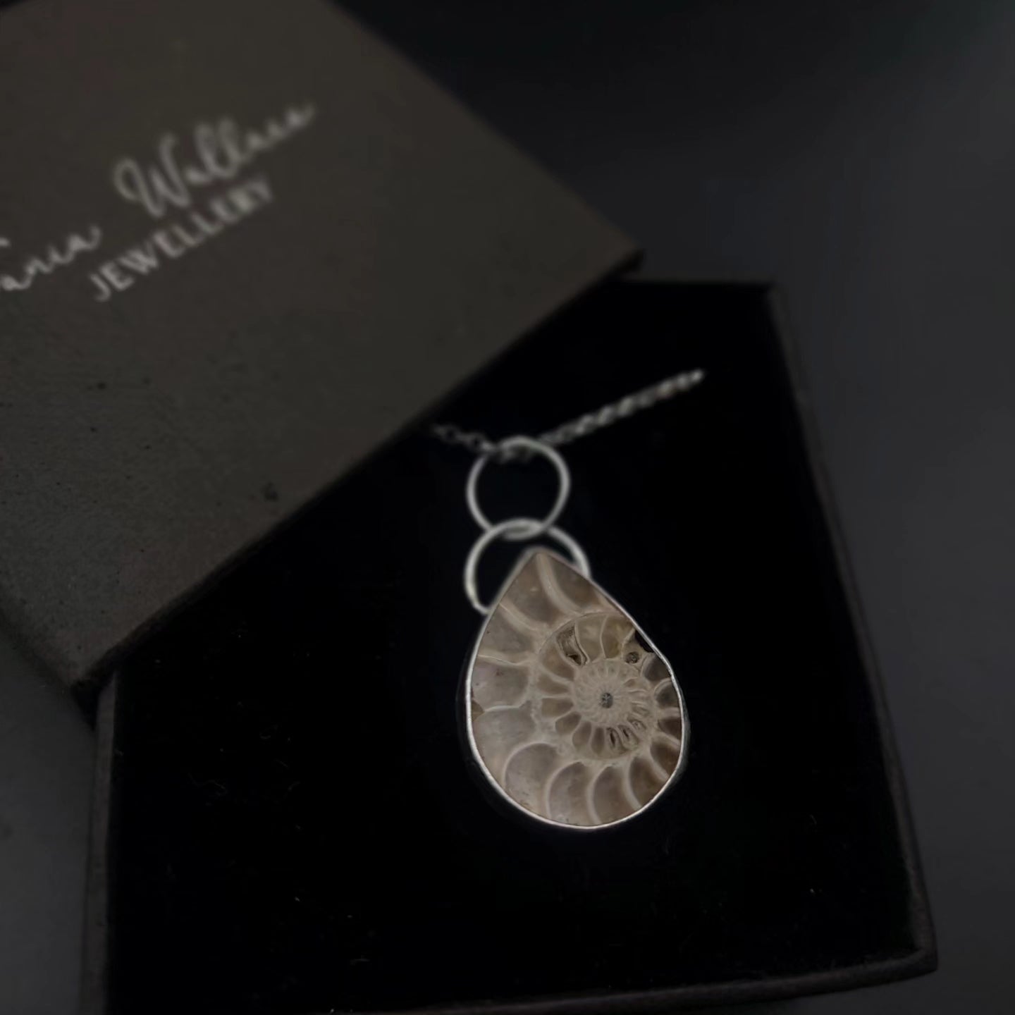 Ammonite and Sterling Silver Pendant