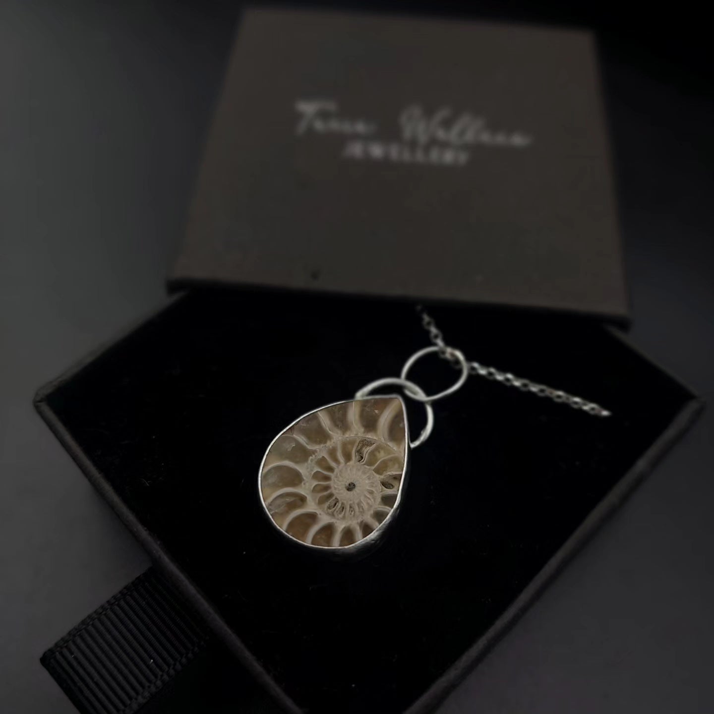 Ammonite and Sterling Silver Pendant