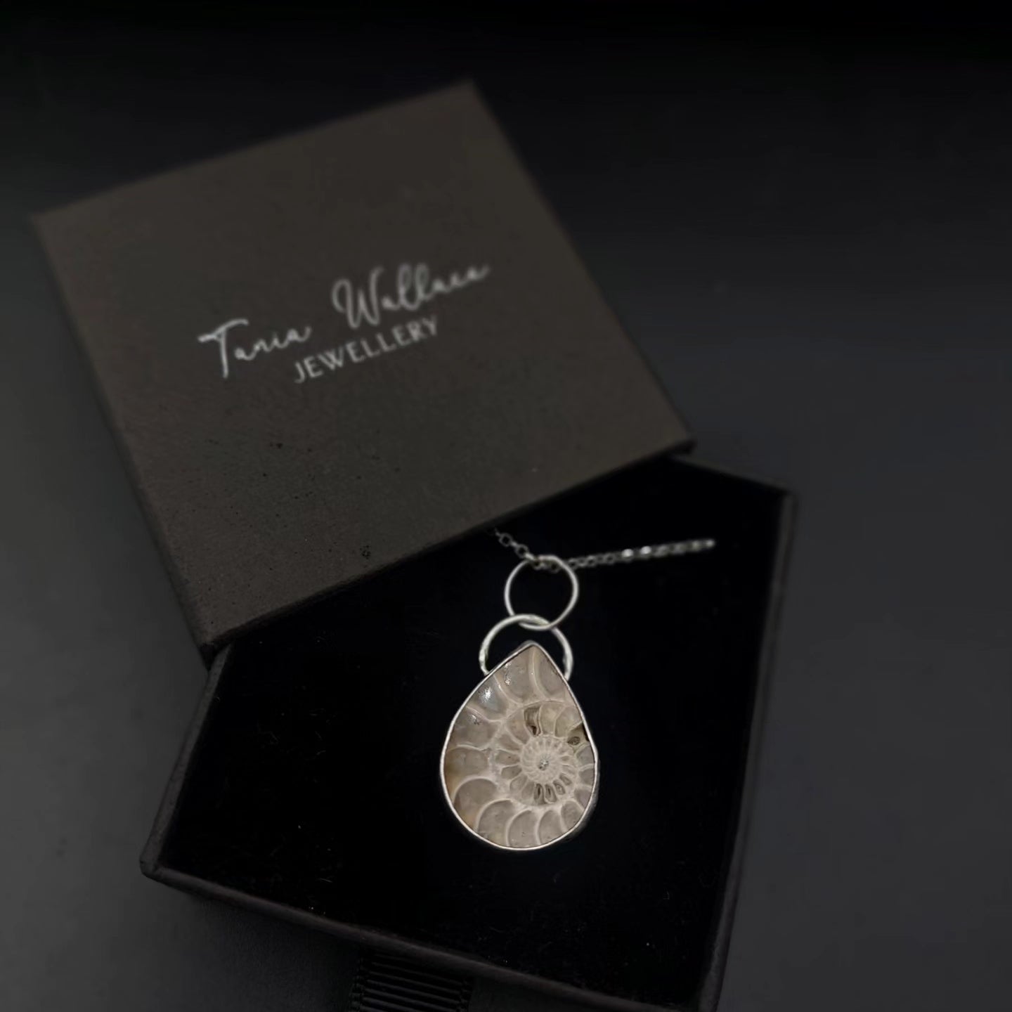 Ammonite and Sterling Silver Pendant