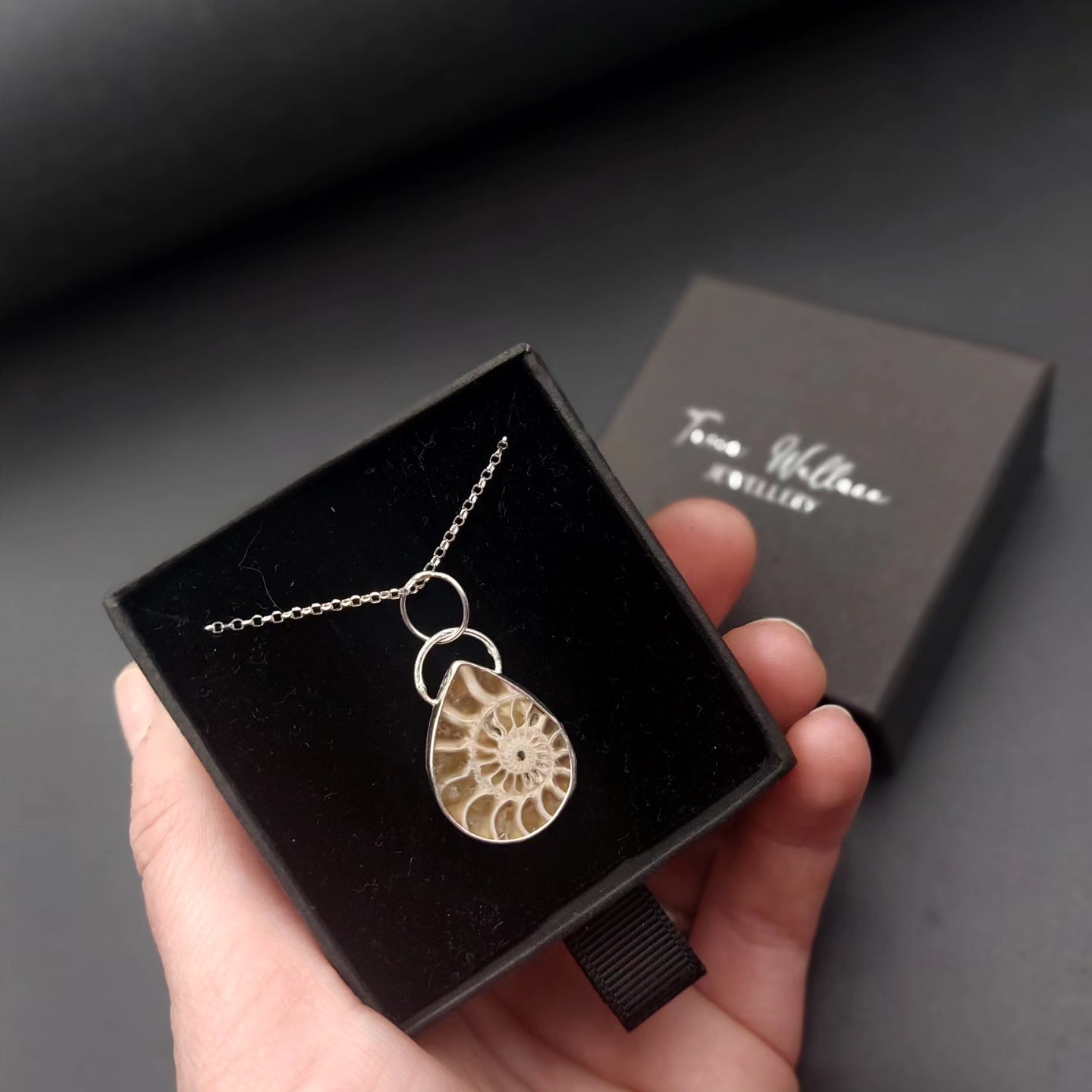 Ammonite and Sterling Silver Pendant