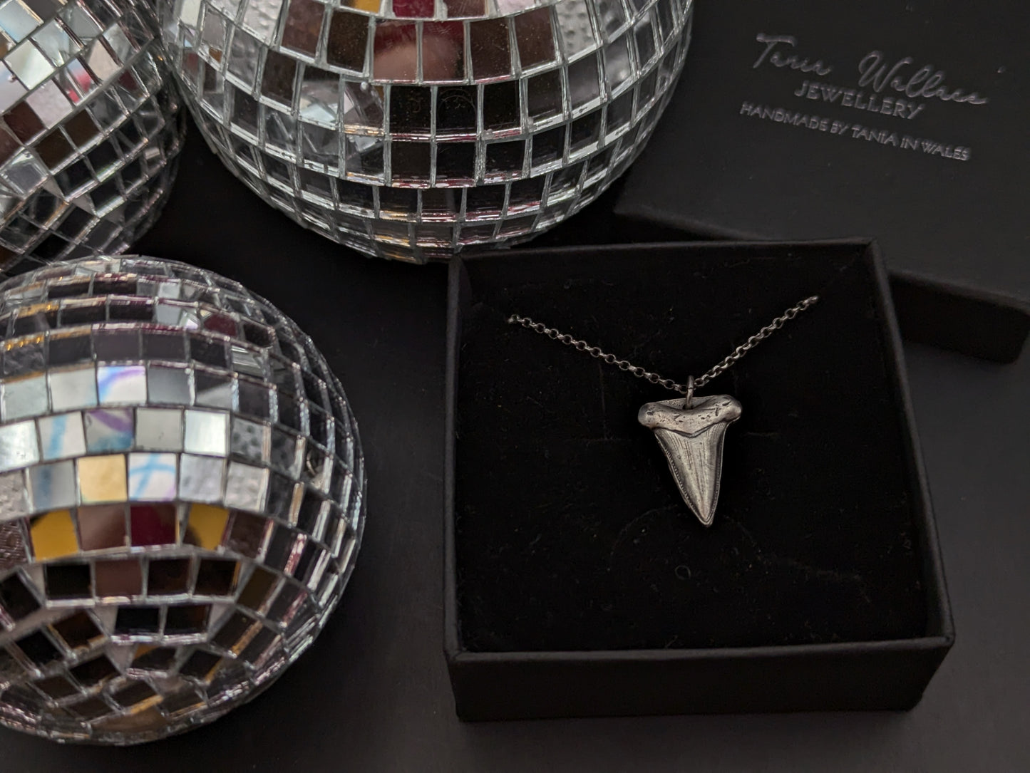 Sterling Silver Shark Tooth Pendant