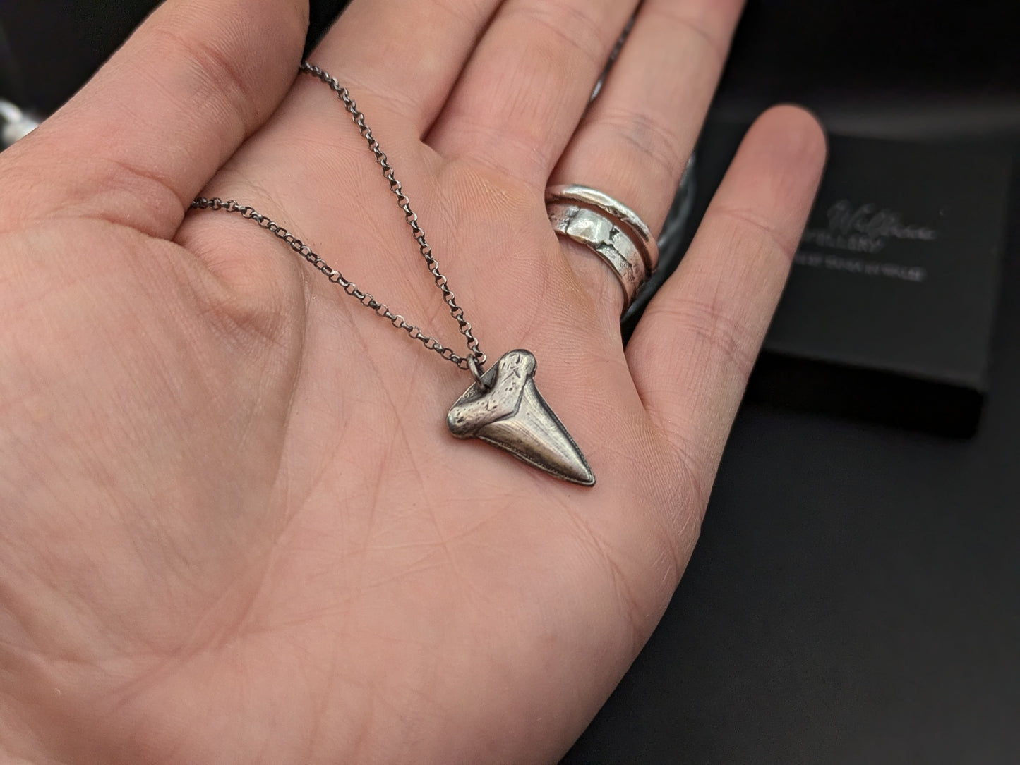 Sterling Silver Shark Tooth Pendant