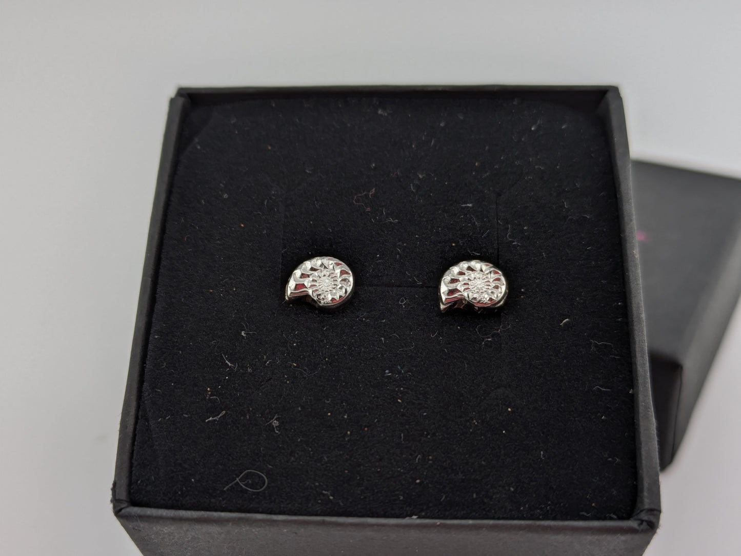 Sterling Silver Ammonite Studs