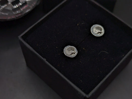 Sea Shell Studs