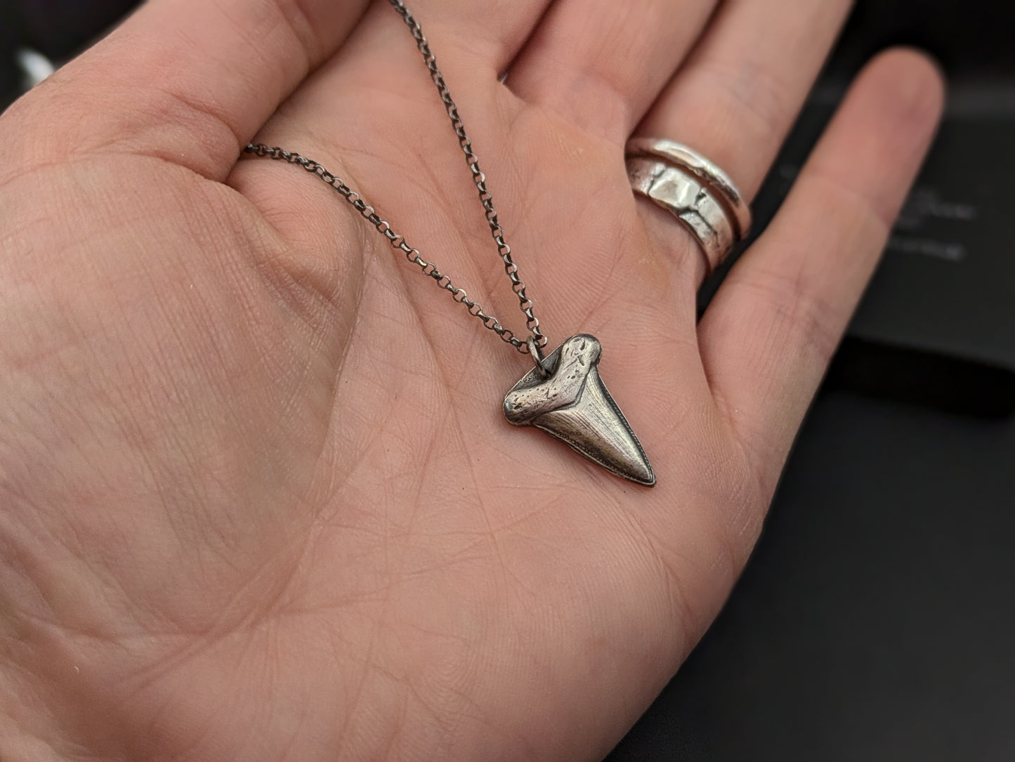 Sterling Silver Shark Tooth Pendant