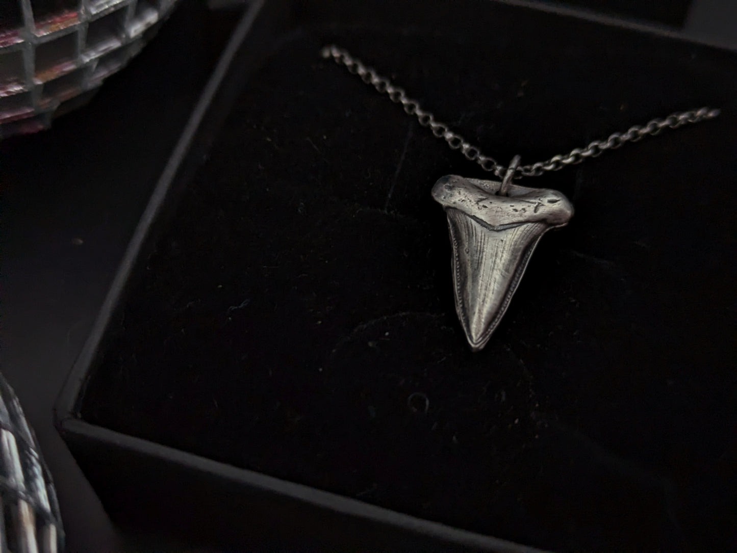 Sterling Silver Shark Tooth Pendant