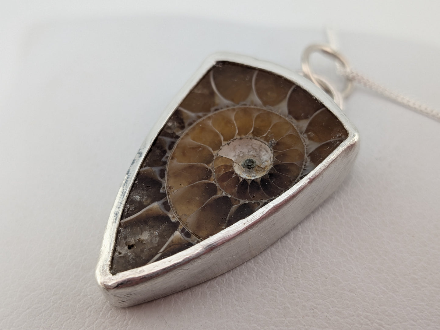 Imperfect Ammonite Pendant