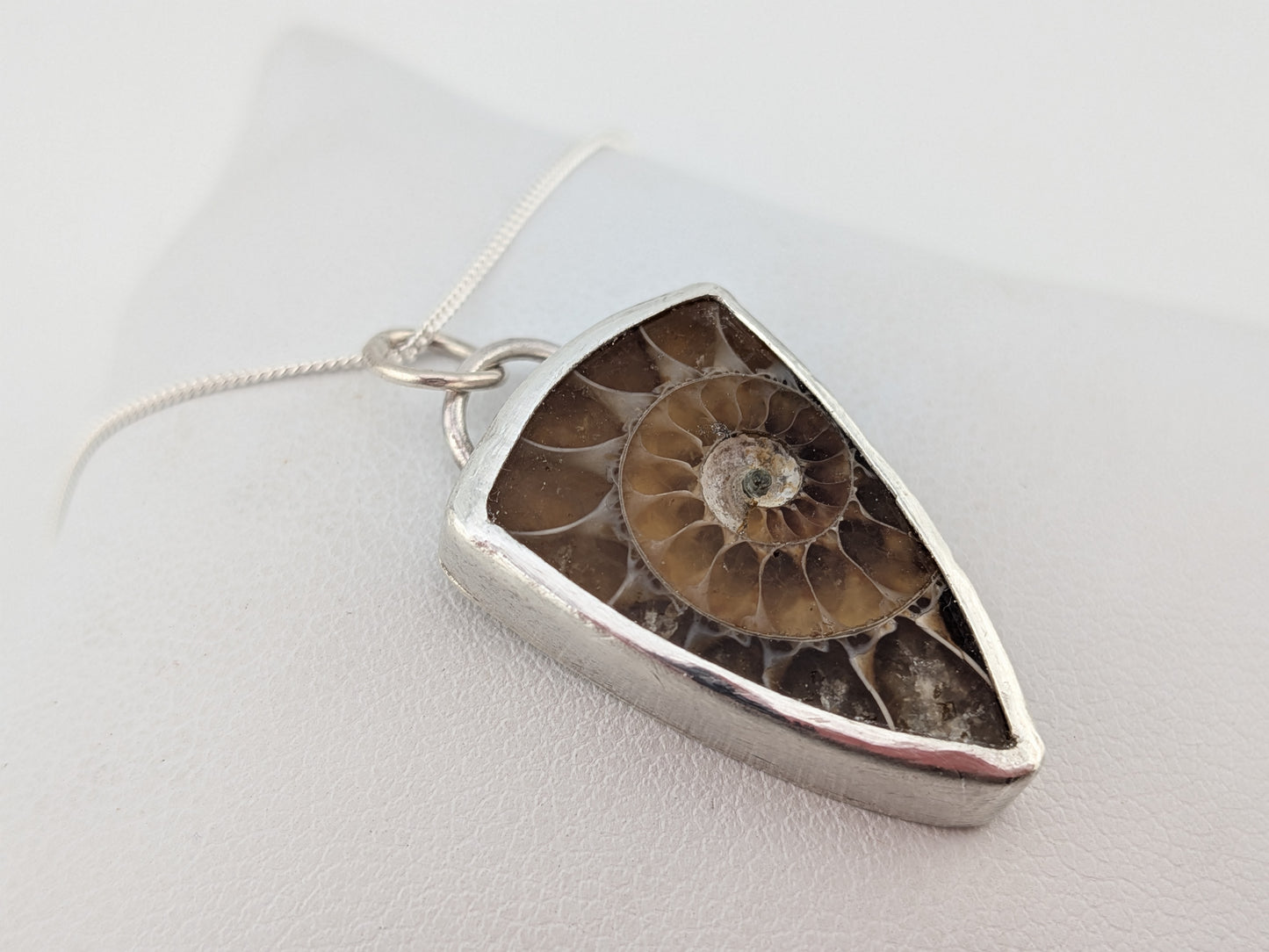 Imperfect Ammonite Pendant