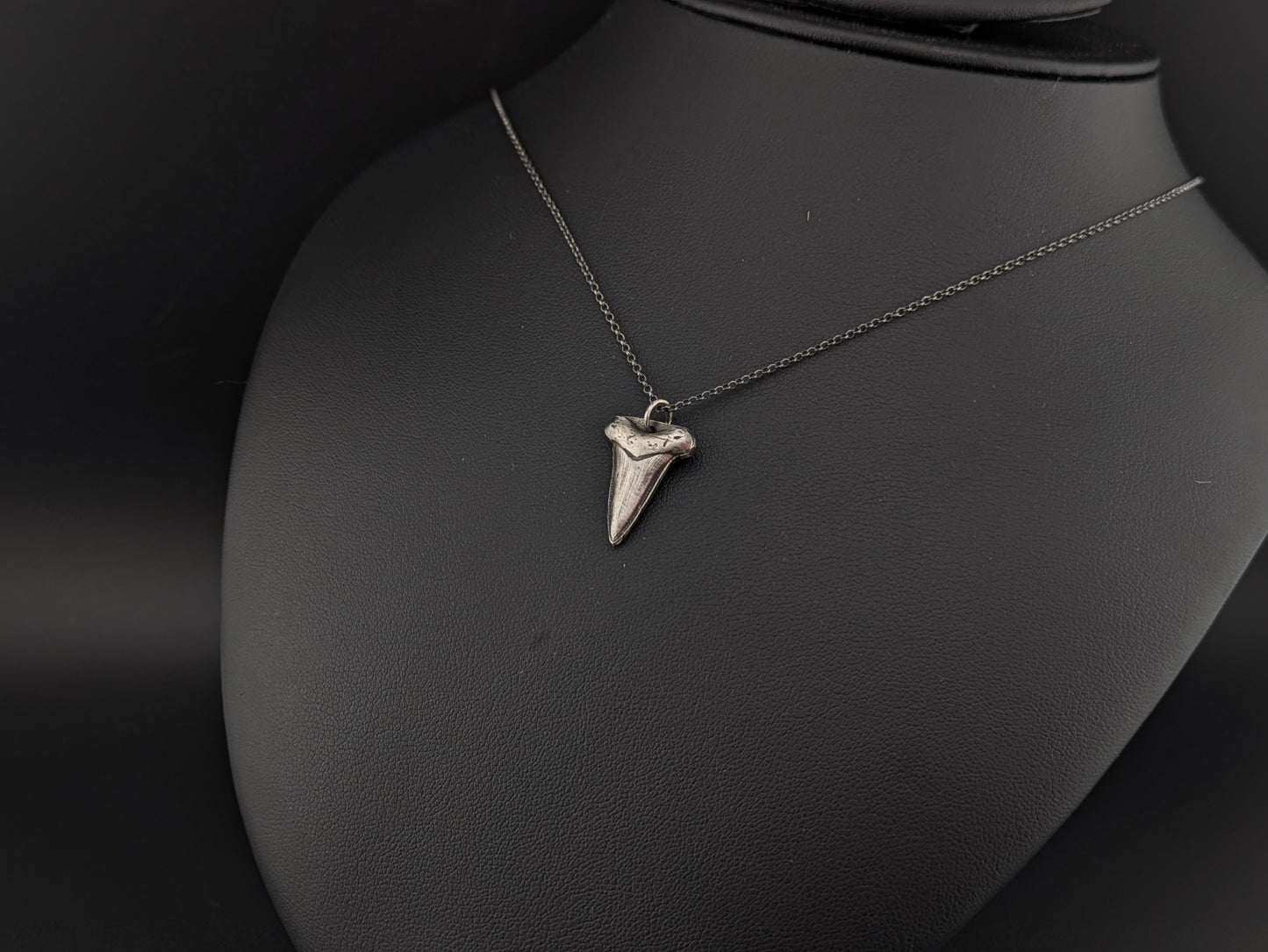 Sterling Silver Shark Tooth Pendant